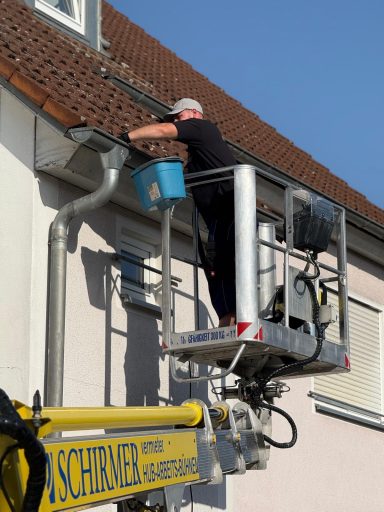 RIIA Dachrinnenreinigung