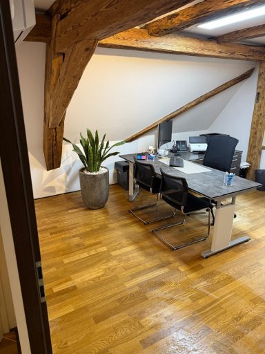 RIIA Büroreinigung